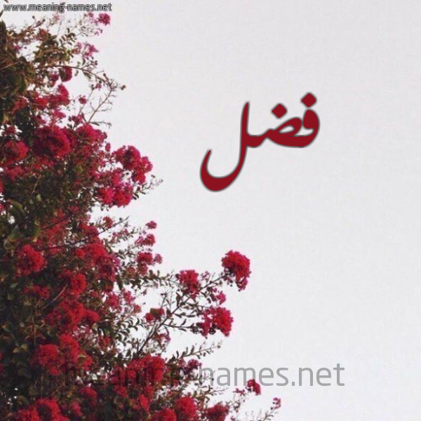 شكل 18 صوره الورد الأحمر للإسم بخط رقعة صورة اسم فضل Fdl