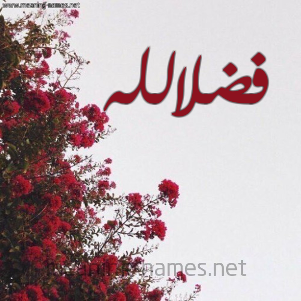 شكل 18 صوره الورد الأحمر للإسم بخط رقعة صورة اسم فضلالله Fdlallh