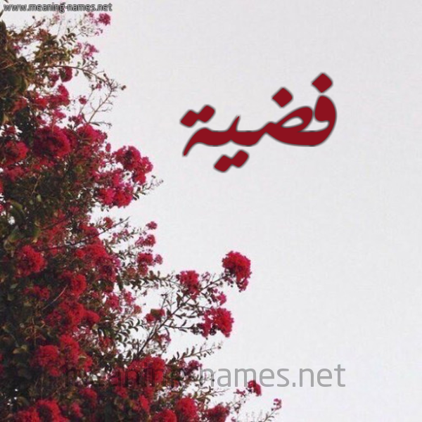 شكل 18 صوره الورد الأحمر للإسم بخط رقعة صورة اسم فضية Fdyh