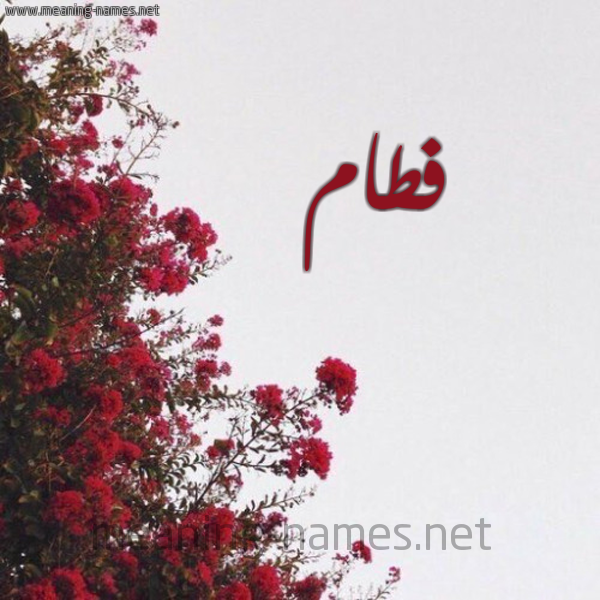 شكل 18 صوره الورد الأحمر للإسم بخط رقعة صورة اسم فطام Ftam