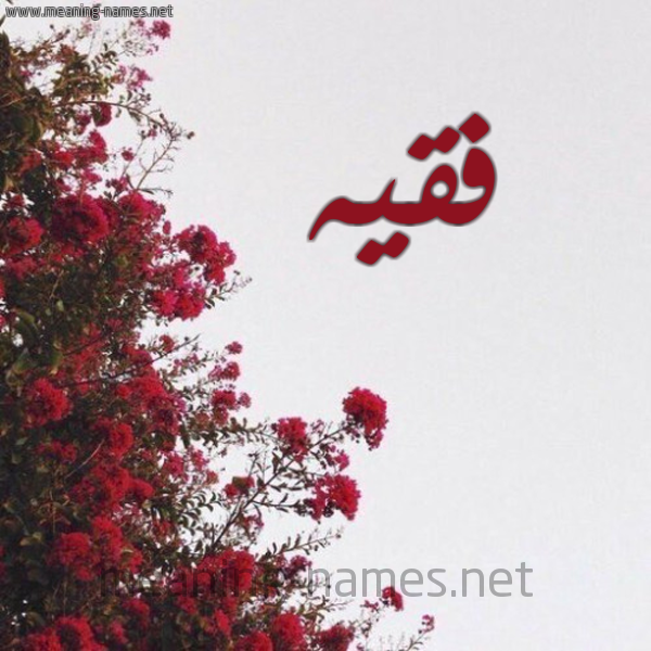 شكل 18 صوره الورد الأحمر للإسم بخط رقعة صورة اسم فقيه Fqyh