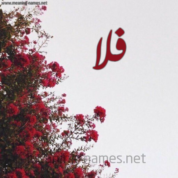شكل 18 صوره الورد الأحمر للإسم بخط رقعة صورة اسم فلا FLA