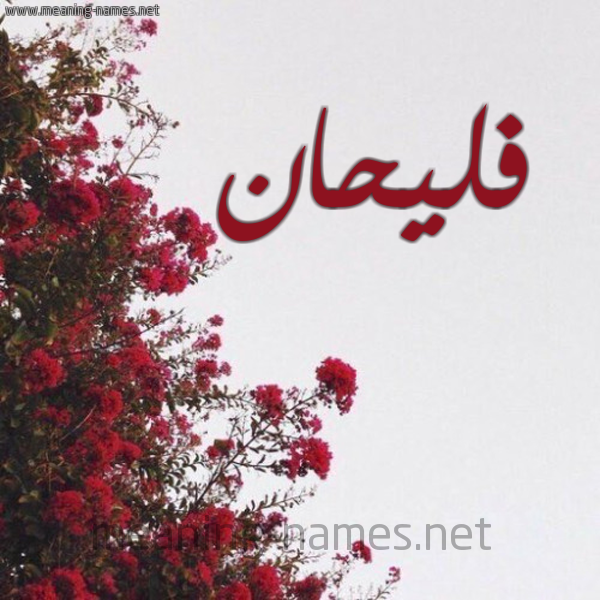 شكل 18 صوره الورد الأحمر للإسم بخط رقعة صورة اسم فليحان FLIHAN