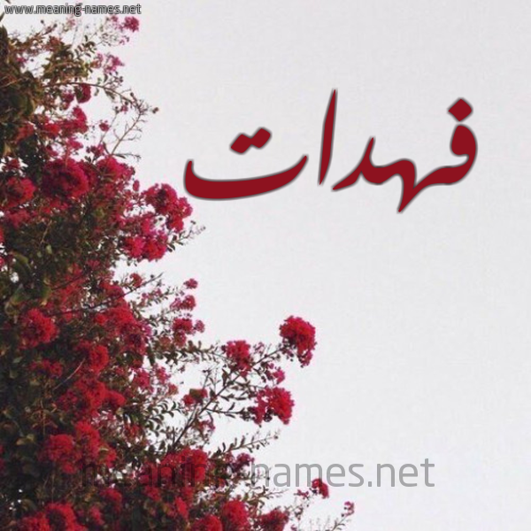 شكل 18 صوره الورد الأحمر للإسم بخط رقعة صورة اسم فهدات Fhdat
