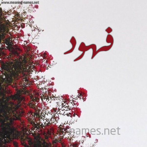 شكل 18 صوره الورد الأحمر للإسم بخط رقعة صورة اسم فهود Fhwd