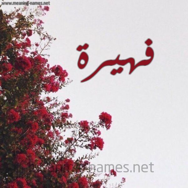 شكل 18 صوره الورد الأحمر للإسم بخط رقعة صورة اسم فهيرة fahira