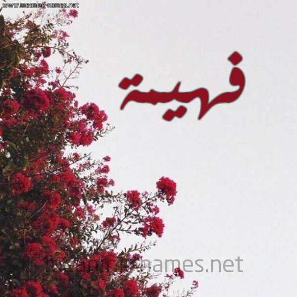 شكل 18 صوره الورد الأحمر للإسم بخط رقعة صورة اسم فهيمة Fhymh