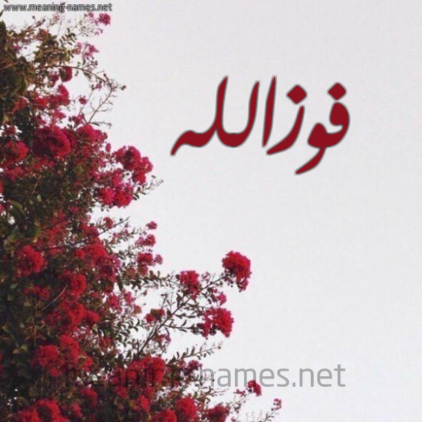 شكل 18 صوره الورد الأحمر للإسم بخط رقعة صورة اسم فوزالله Fwzallh