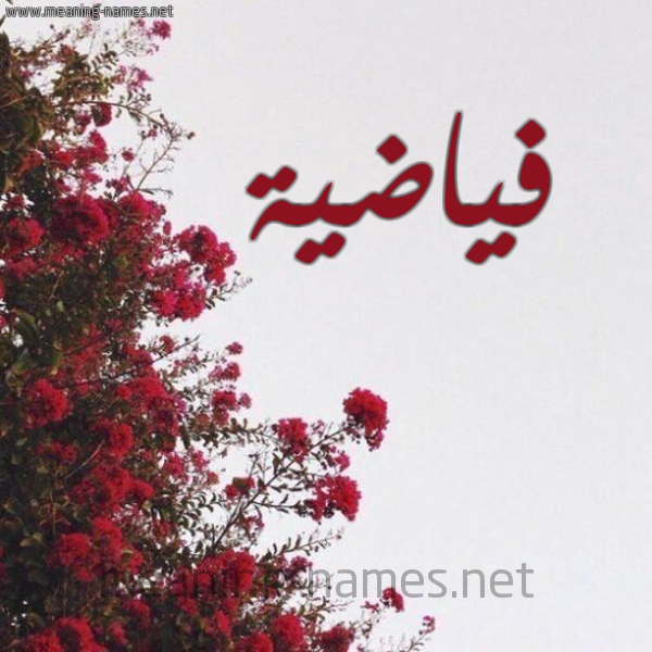 شكل 18 صوره الورد الأحمر للإسم بخط رقعة صورة اسم فياضية Fayyada