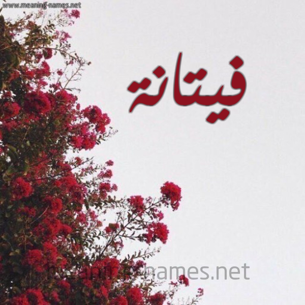شكل 18 صوره الورد الأحمر للإسم بخط رقعة صورة اسم فيتانة Fattanah