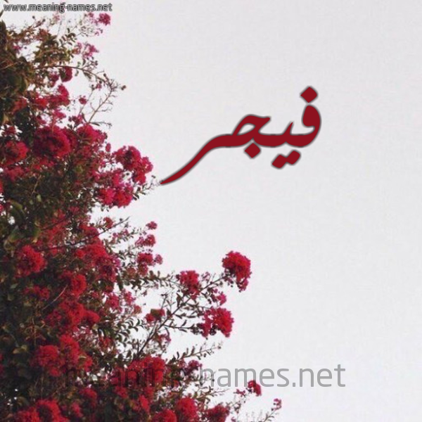 شكل 18 صوره الورد الأحمر للإسم بخط رقعة صورة اسم فيجر Fajr