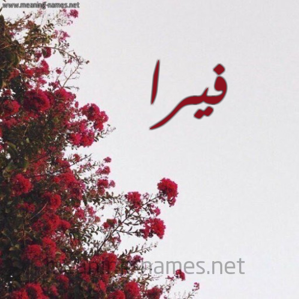 شكل 18 صوره الورد الأحمر للإسم بخط رقعة صورة اسم فيرا Fira