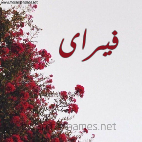 شكل 18 صوره الورد الأحمر للإسم بخط رقعة صورة اسم فيراى Vira