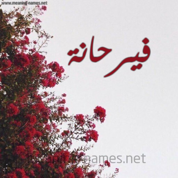 شكل 18 صوره الورد الأحمر للإسم بخط رقعة صورة اسم فيرحانة Farhana