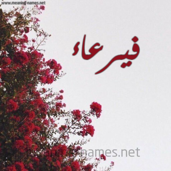 شكل 18 صوره الورد الأحمر للإسم بخط رقعة صورة اسم فيرعاء Faraa