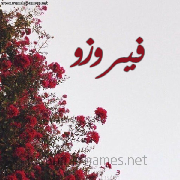 شكل 18 صوره الورد الأحمر للإسم بخط رقعة صورة اسم فيروزو Fairuz