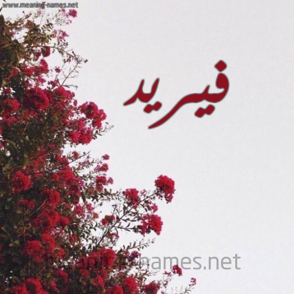 شكل 18 صوره الورد الأحمر للإسم بخط رقعة صورة اسم فيريد Farid