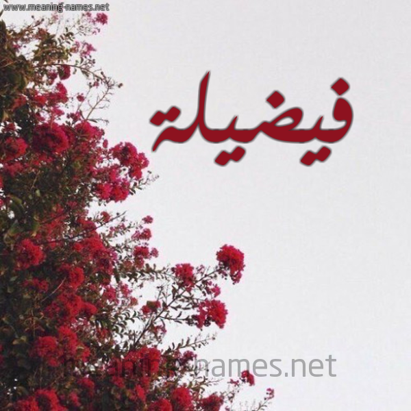 شكل 18 صوره الورد الأحمر للإسم بخط رقعة صورة اسم فيضيلة Fadeelah
