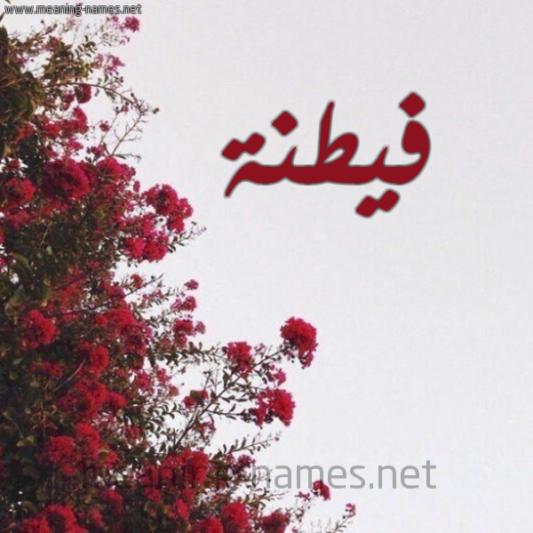 شكل 18 صوره الورد الأحمر للإسم بخط رقعة صورة اسم فيطنة Fatna