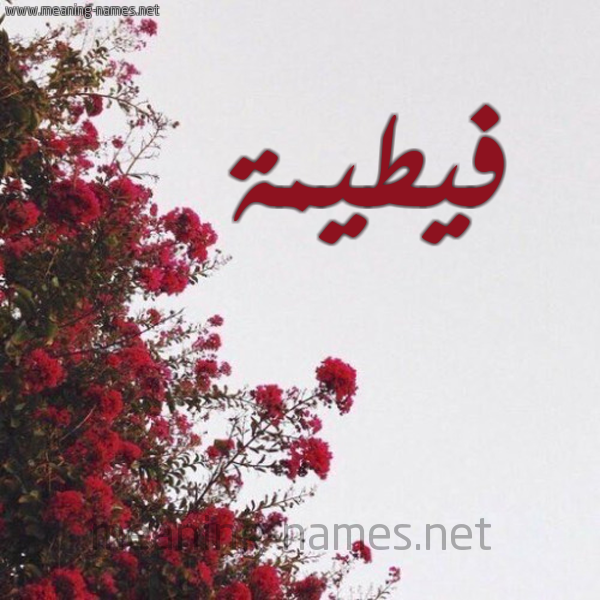 شكل 18 صوره الورد الأحمر للإسم بخط رقعة صورة اسم فيطيمة Fateemah