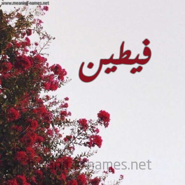 شكل 18 صوره الورد الأحمر للإسم بخط رقعة صورة اسم فيطين Fateen
