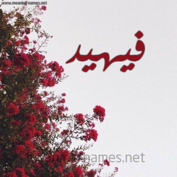 شكل 18 صوره الورد الأحمر للإسم بخط رقعة صورة اسم فيهيد Fuhaid