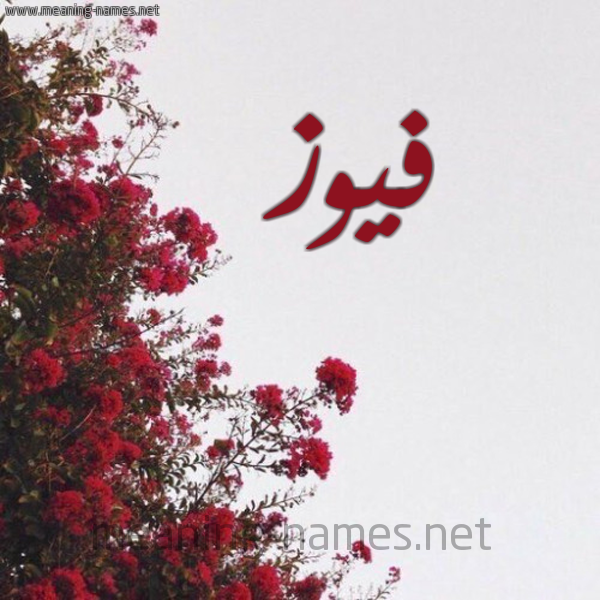 شكل 18 صوره الورد الأحمر للإسم بخط رقعة صورة اسم فيوز Fawz
