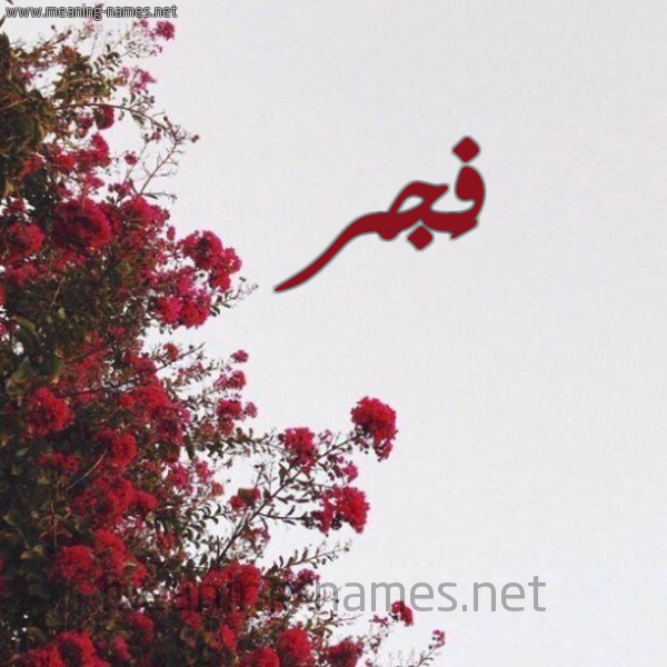 شكل 18 صوره الورد الأحمر للإسم بخط رقعة صورة اسم فَجْر FAGR