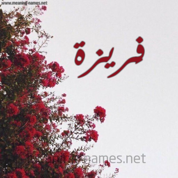 شكل 18 صوره الورد الأحمر للإسم بخط رقعة صورة اسم فَريزة FARIZH