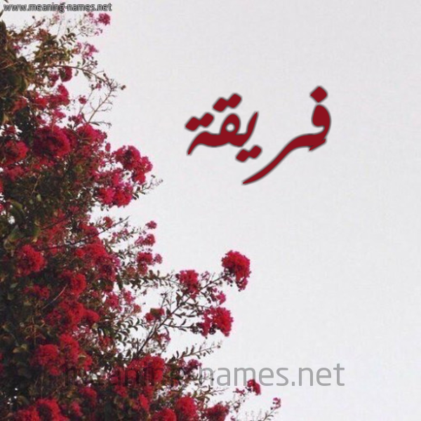 شكل 18 صوره الورد الأحمر للإسم بخط رقعة صورة اسم فَريقة FARIQH