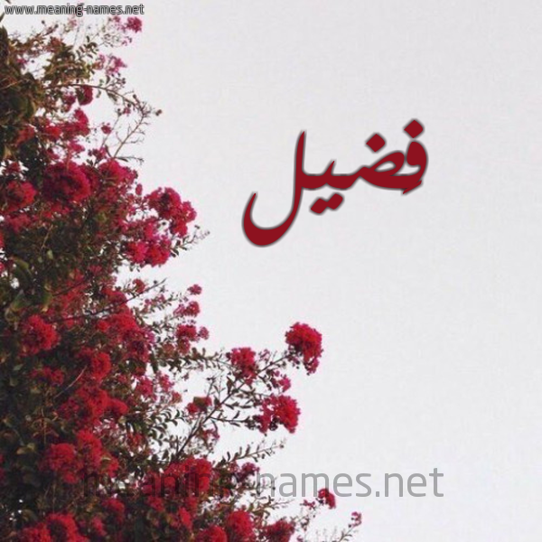 شكل 18 صوره الورد الأحمر للإسم بخط رقعة صورة اسم فَضيل FADIL