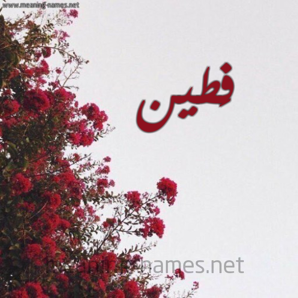 شكل 18 صوره الورد الأحمر للإسم بخط رقعة صورة اسم فَطين FATIN