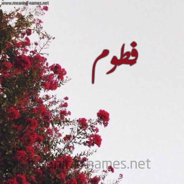 شكل 18 صوره الورد الأحمر للإسم بخط رقعة صورة اسم فَطَوم FATAOM