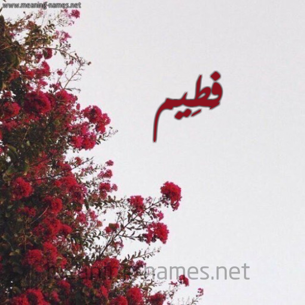 شكل 18 صوره الورد الأحمر للإسم بخط رقعة صورة اسم فَطِيم FATEIM