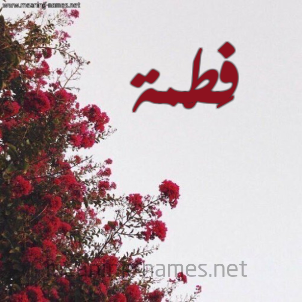 شكل 18 صوره الورد الأحمر للإسم بخط رقعة صورة اسم فَطْمة FATMH