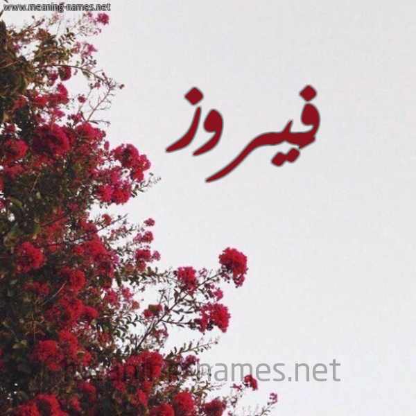 شكل 18 صوره الورد الأحمر للإسم بخط رقعة صورة اسم فَيروز FAIROZ