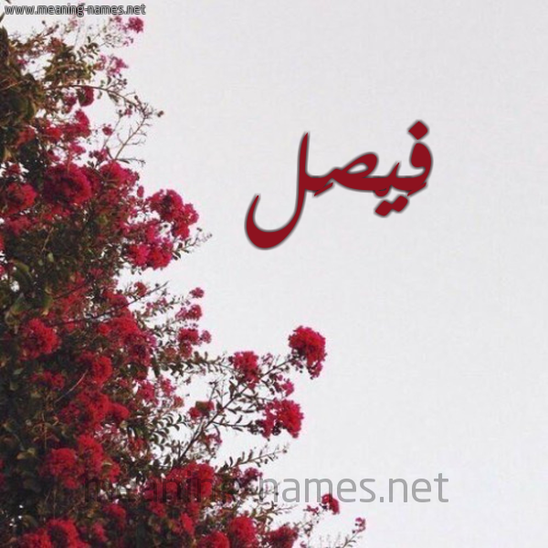 شكل 18 صوره الورد الأحمر للإسم بخط رقعة صورة اسم فَيْصَل FAISAL