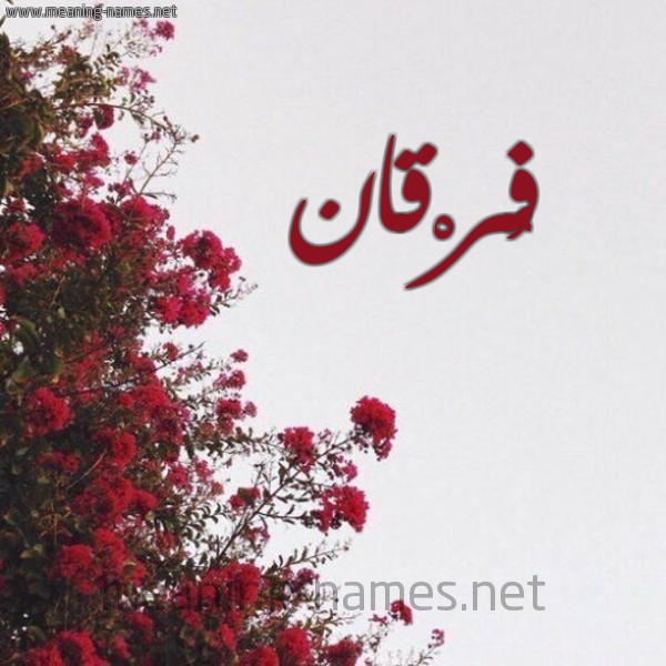 شكل 18 صوره الورد الأحمر للإسم بخط رقعة صورة اسم فُرْقان Forqan