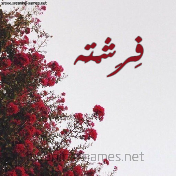 شكل 18 صوره الورد الأحمر للإسم بخط رقعة صورة اسم فِرِشْتَه FERESHTAH