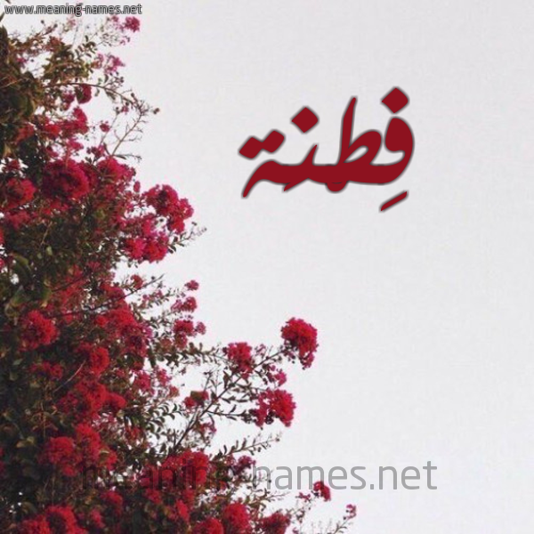 شكل 18 صوره الورد الأحمر للإسم بخط رقعة صورة اسم فِطْنَة FETNAH