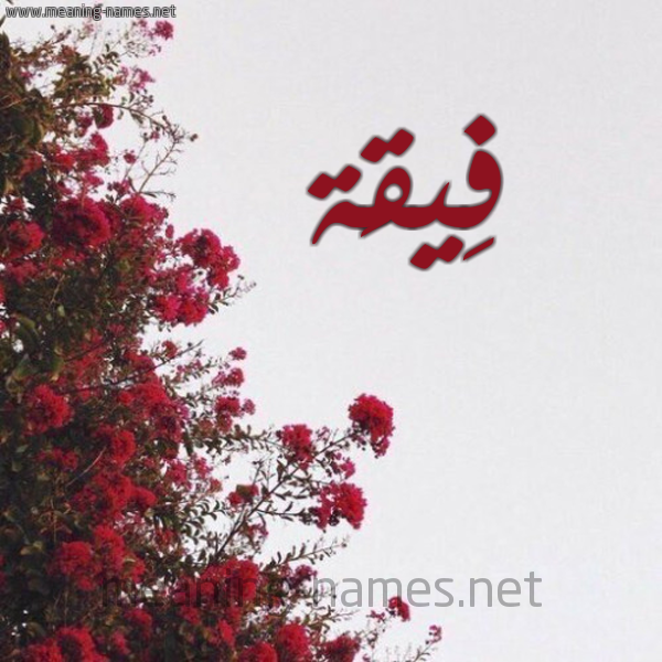 شكل 18 صوره الورد الأحمر للإسم بخط رقعة صورة اسم فِيقَة FEIQAH