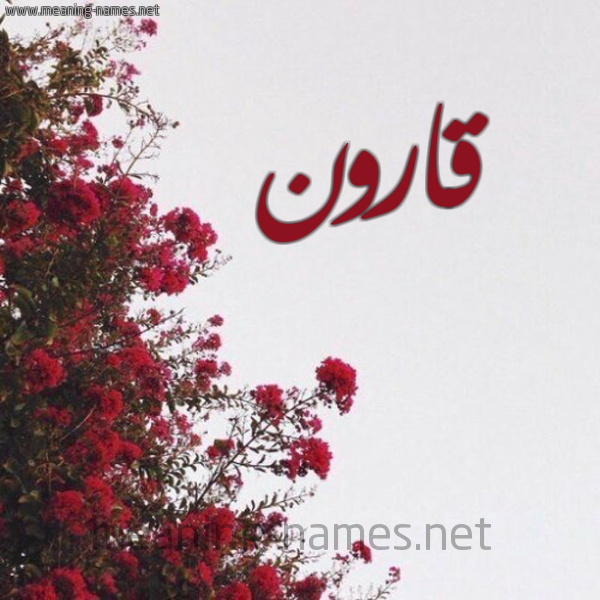 شكل 18 صوره الورد الأحمر للإسم بخط رقعة صورة اسم قارون Qaron