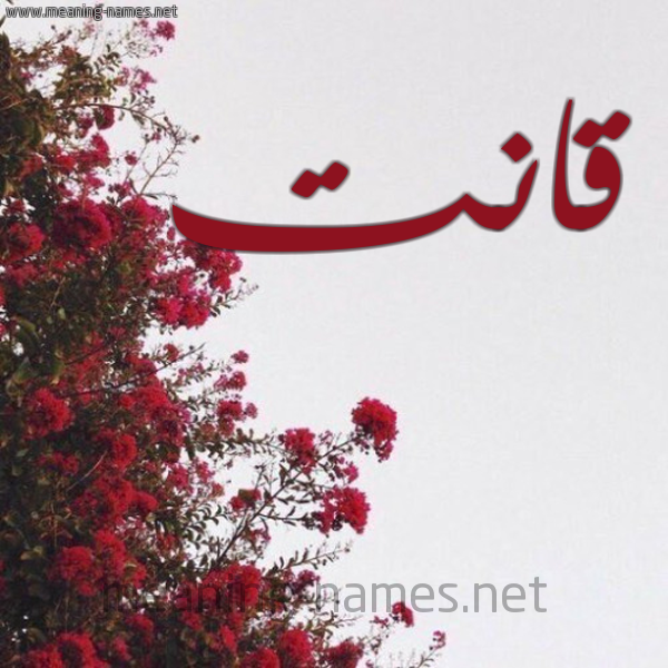 شكل 18 صوره الورد الأحمر للإسم بخط رقعة صورة اسم قانت Qant
