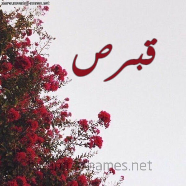 شكل 18 صوره الورد الأحمر للإسم بخط رقعة صورة اسم قبرص QBRS
