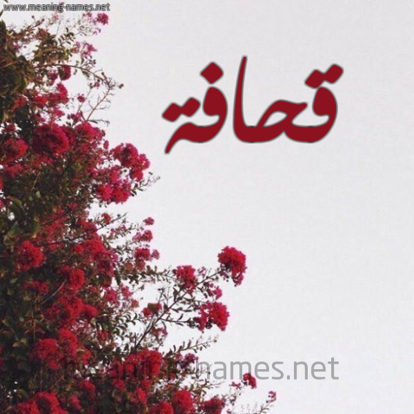 شكل 18 صوره الورد الأحمر للإسم بخط رقعة صورة اسم قحافة Qhafh