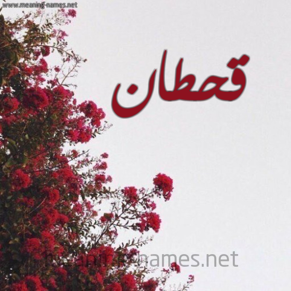 شكل 18 صوره الورد الأحمر للإسم بخط رقعة صورة اسم قحطان Qhtan