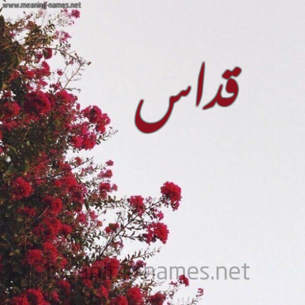 شكل 18 صوره الورد الأحمر للإسم بخط رقعة صورة اسم قداس Qdas