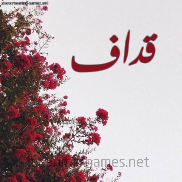 شكل 18 صوره الورد الأحمر للإسم بخط رقعة صورة اسم قداف Qdaf
