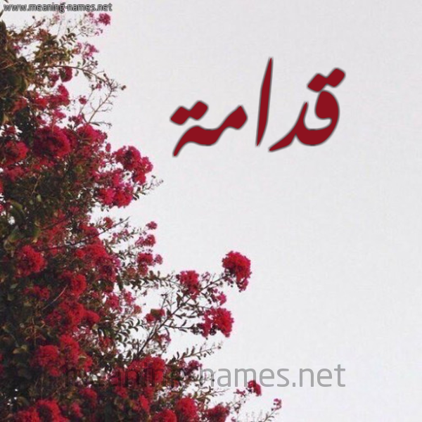شكل 18 صوره الورد الأحمر للإسم بخط رقعة صورة اسم قدامة Qdamh