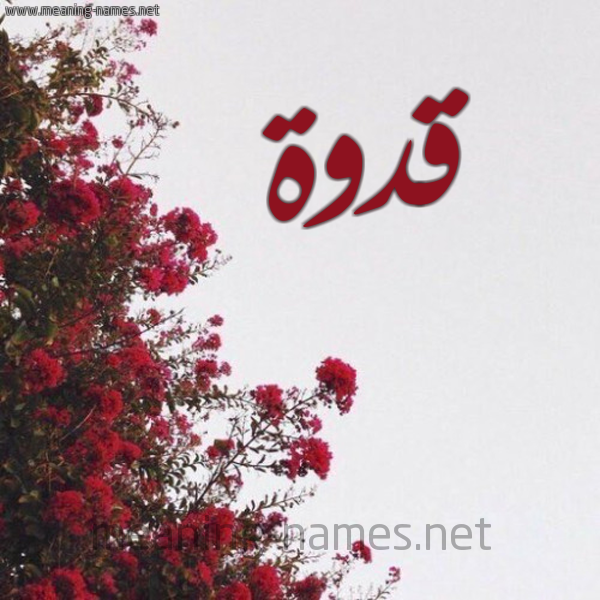 شكل 18 صوره الورد الأحمر للإسم بخط رقعة صورة اسم قدوة Qdwh